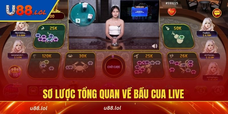 Sơ lược tổng quan về bầu cua live