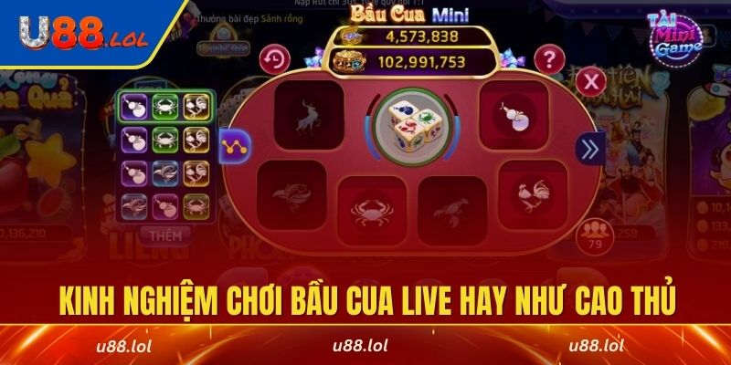 Kinh nghiệm chơi bầu cua live hay như cao thủ